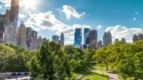 Central Park Trees Timelapse Skyscrapers Manhattan New York City NYC Beautiful Stock Footage