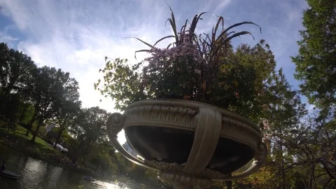 Central Park Vase 動画素材 85366653