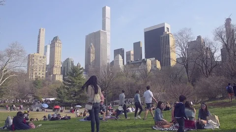 Central Park Visitors Relax in Shadow of Skyscrapers Stock Footage 89304046