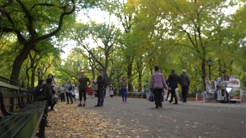 Central Park Walking people 動画素材 85366429