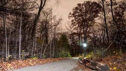 Central Park Walkway Stock Footage 83520781