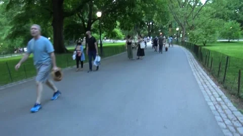 Central park walkway Stock Footage 131763390