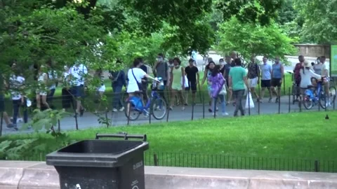 Central park walkway Stock Footage 131763410