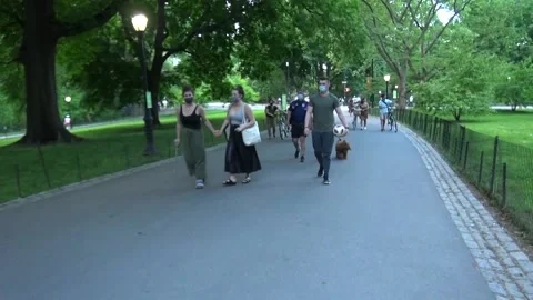 Central park walkway Stock Footage 131763433