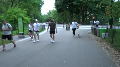 Central park walkway Stock Footage