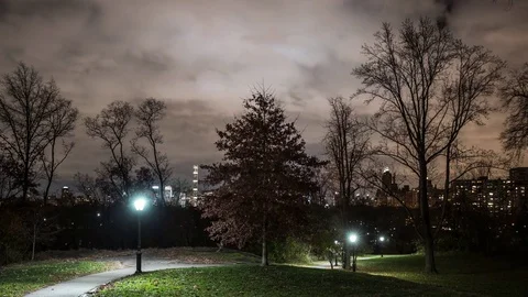 CENTRAL PARK  WALKWAY NYC Stock Footage 83520930