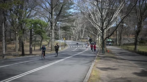Central Park West Side Drive Stock Footage 195684878