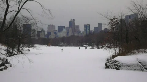 Central Park winter 1 動画素材 336625