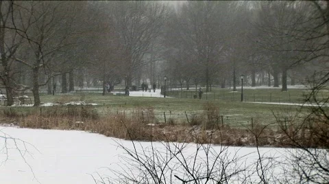 Central Park Winter 스톡 동영상 565121