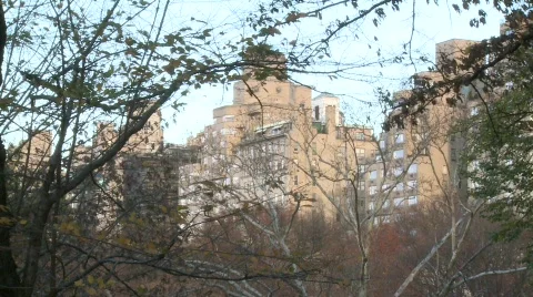 Central Park in Winter 库存影片 607023