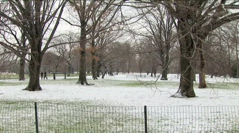 Central Park Winter Pan 1 스톡 동영상 565404