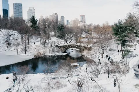 Central Park in winter Stock Photos