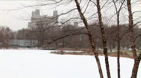 Central Park Winter Pond Stockbeeldmateriaal 565363