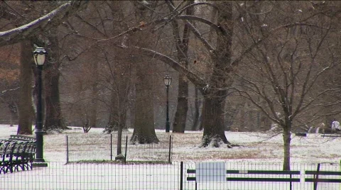 Central Park Winter Scene 스톡 동영상 565705