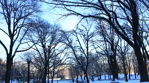 Central Park in Winter with Snow Stock Footage 55608849