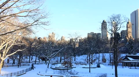 Central Park in in winter With Snow Stock Footage 55609028