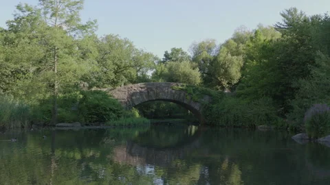 Central Park's Gapstow Bridge on a summer morning Stock-Footage 279135751