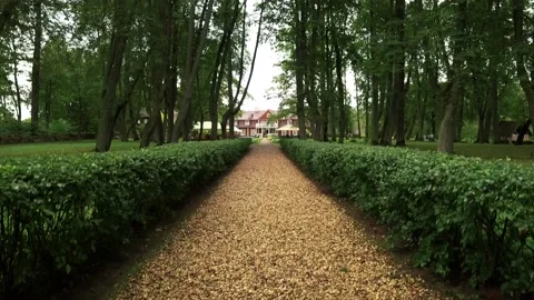 Central path of the park with the manor at its end Stock Footage 238934275