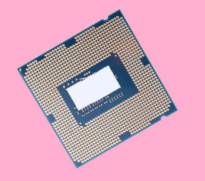Central Processor unit isolated on pink background at dry sunny Stock Photos