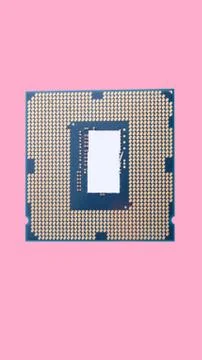 Central Processor unit isolated on pink background at dry sunny day Stock Photos