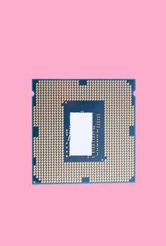 Central Processor unit isolated on pink background at dry sunny day Stock Photos