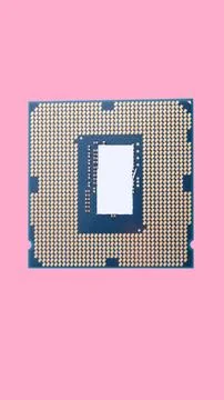 Central Processor unit isolated on pink background at dry sunny day 写真素材