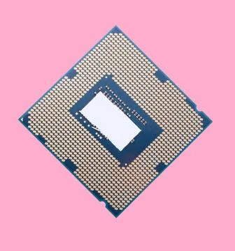 Central Processor unit isolated on pink background at dry sunny day Stock Photos