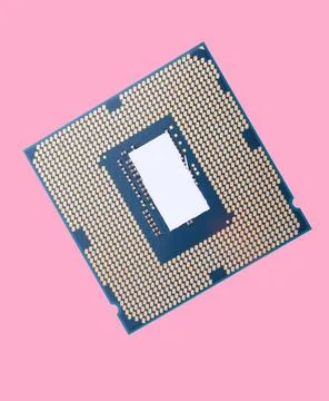 Central Processor unit isolated on pink background at dry sunny day Stock Photos