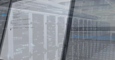 Central server racks streaming in 3D rendering, with code overlay encryption Stock Footage 309255147