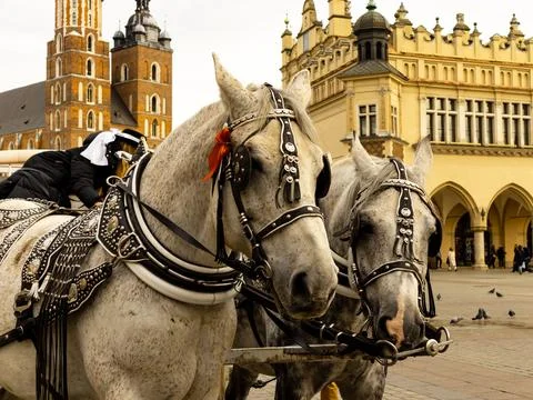 Central square of Krakow Stock Photos
