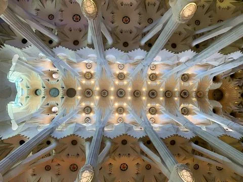 Central view of the interior ceiling and columns of Sagrada Familia Stock Photos