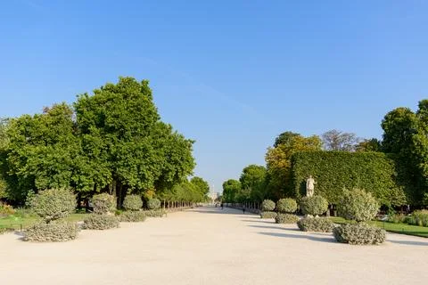 Central walkway lined with trees and statues in Jardin des Tuileries, Paris Stock Photos