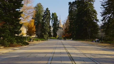 Central Walkway in Real Sitio de San Ildefonso, Spain Stock Footage 293443577