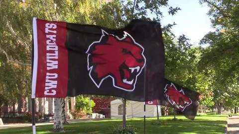 Central Washington University - flags for CWU Wildcats Stock Footage