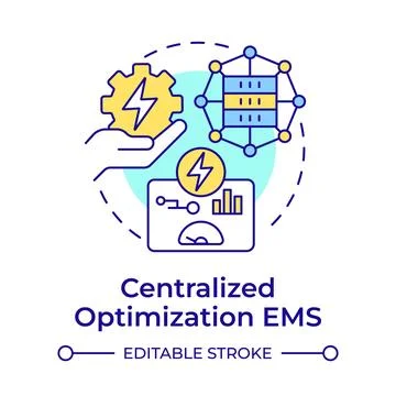Centralized optimization EMS multi color concept icon Stock Illustration