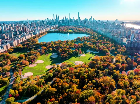 Centralparkfall fall Stock Footage 321669998