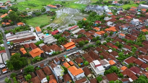 Centre of Canggu, Bali. Rice fields in Canggu. Stock Footage 134623079