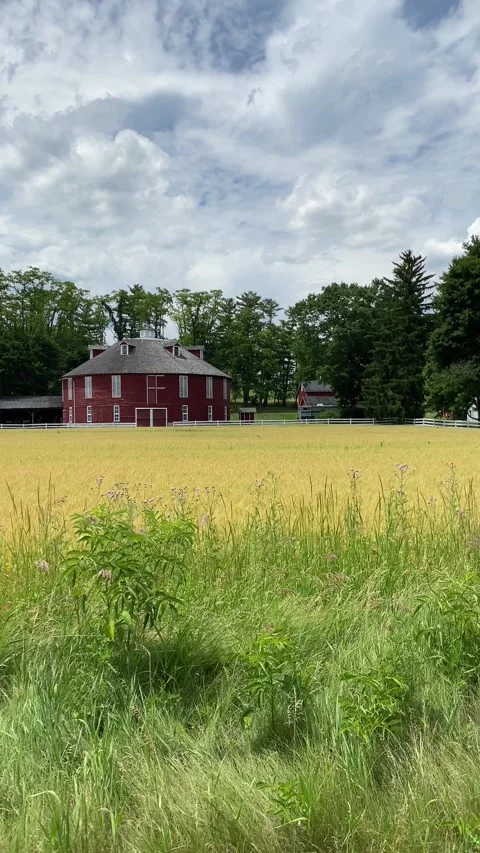 Centre Hall Round Red Barn State College Stock Footage 244787264