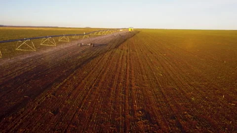 Centre pivot sprayer irrigating crops Stock Footage 327244665