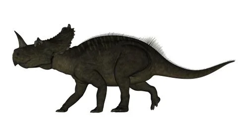 Centrosaurus dinosaur - 3D render Stock Illustration