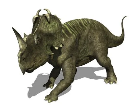 Centrosaurus Dinosaur Stock Illustration