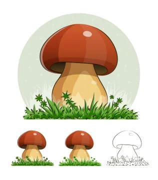 Cep. Mushroom. Stock Illustration
