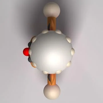Cephalopod B 3D Model