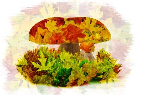 Ceps and leaves Stock Photos