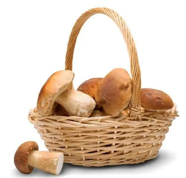 Ceps in basket Stock Photos