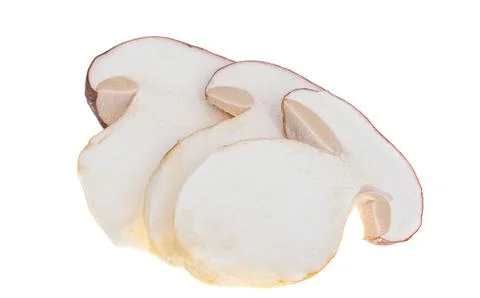 Ceps isolated Stock Photos