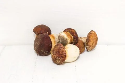 Ceps Stock Photos