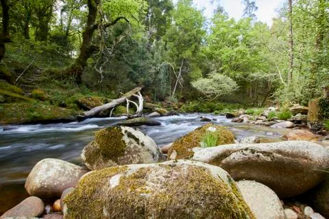 Cequeril river. Stock Photos