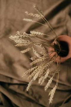 Ceramic brown jug with a bunch of ears of corn. Picture of a rural life. Stock Photos