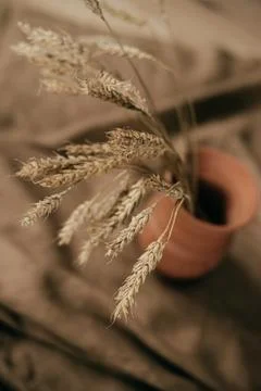 Ceramic brown jug with a bunch of ears of corn. Picture of a rural life. Stock Photos